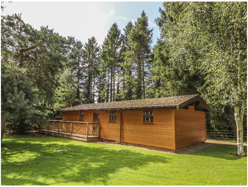 Click here for more about Pine Lodge